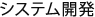 システム開発